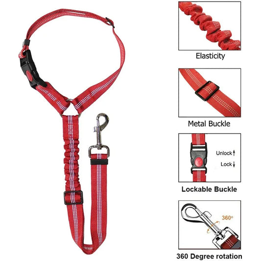 1-in-2 safety strap leash