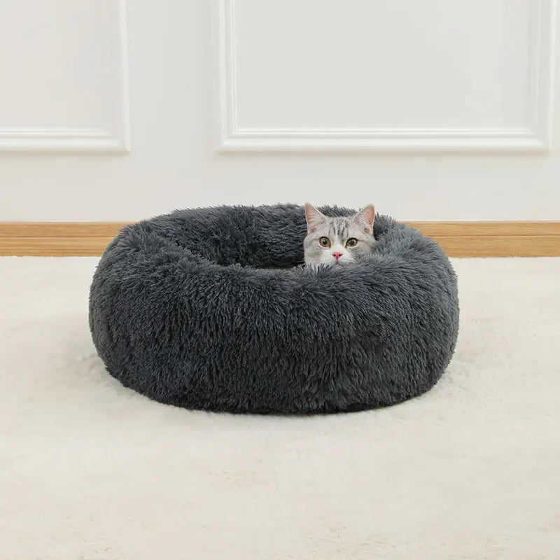 cloud bed