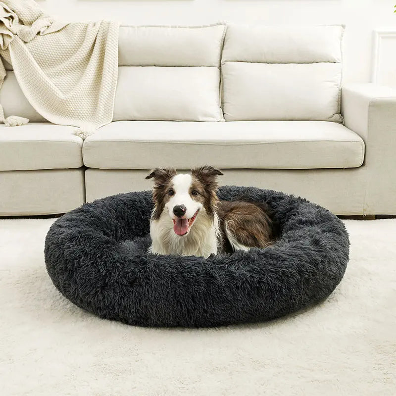 cloud bed