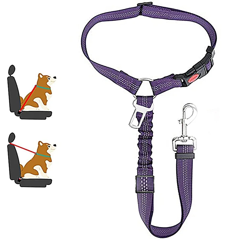 1-in-2 safety strap leash