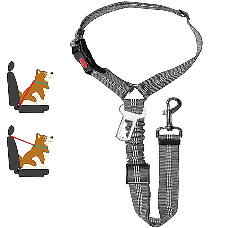1-in-2 safety strap leash