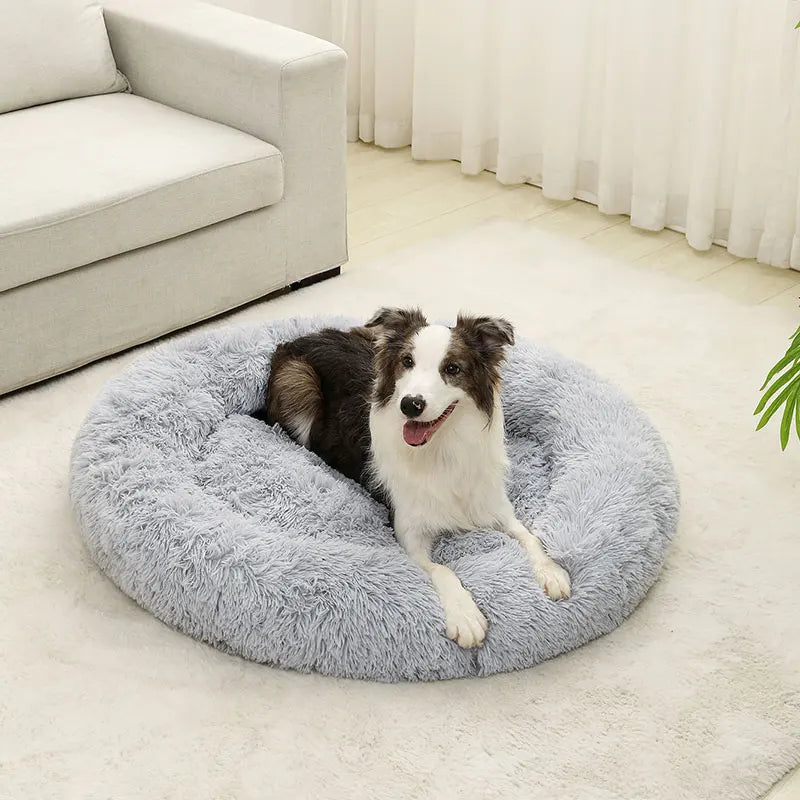 cloud bed