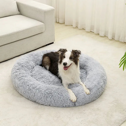 cloud bed