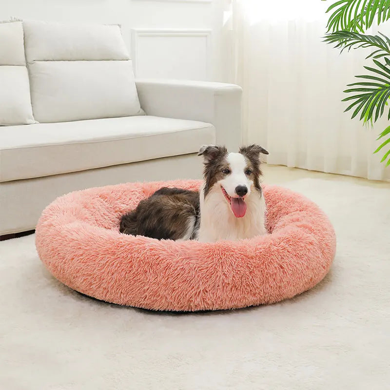 cloud bed