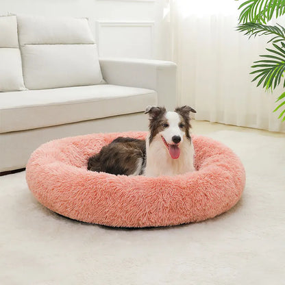 cloud bed