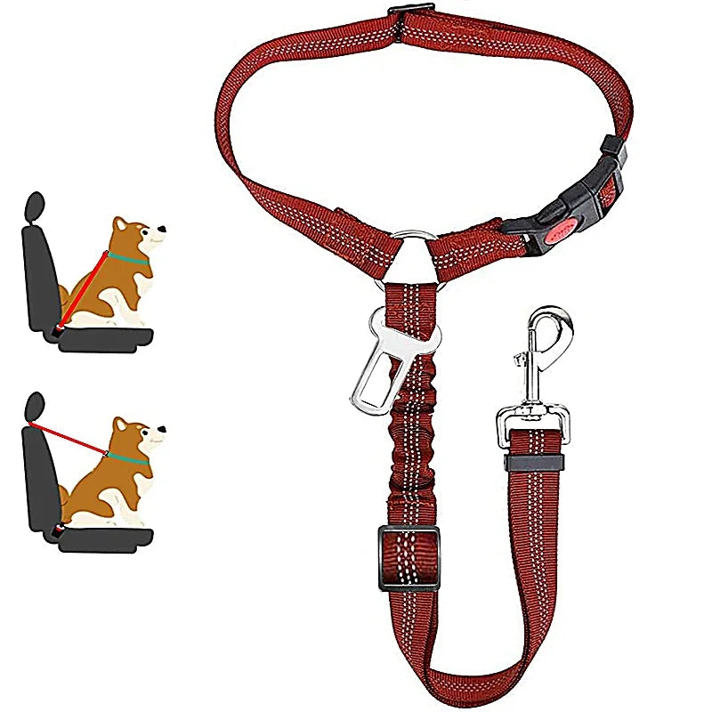 1-in-2 safety strap leash