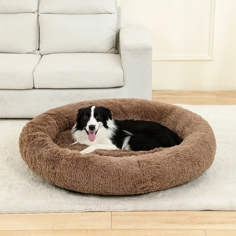 cloud bed