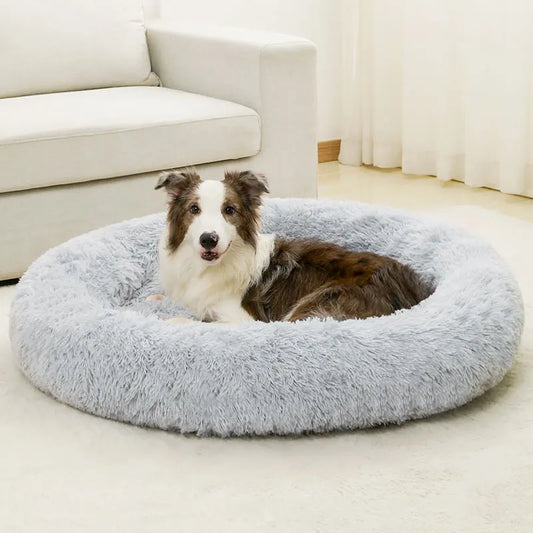 cloud bed