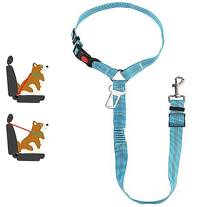 1-in-2 safety strap leash