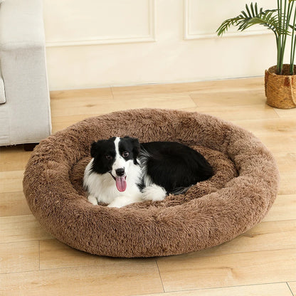 cloud bed