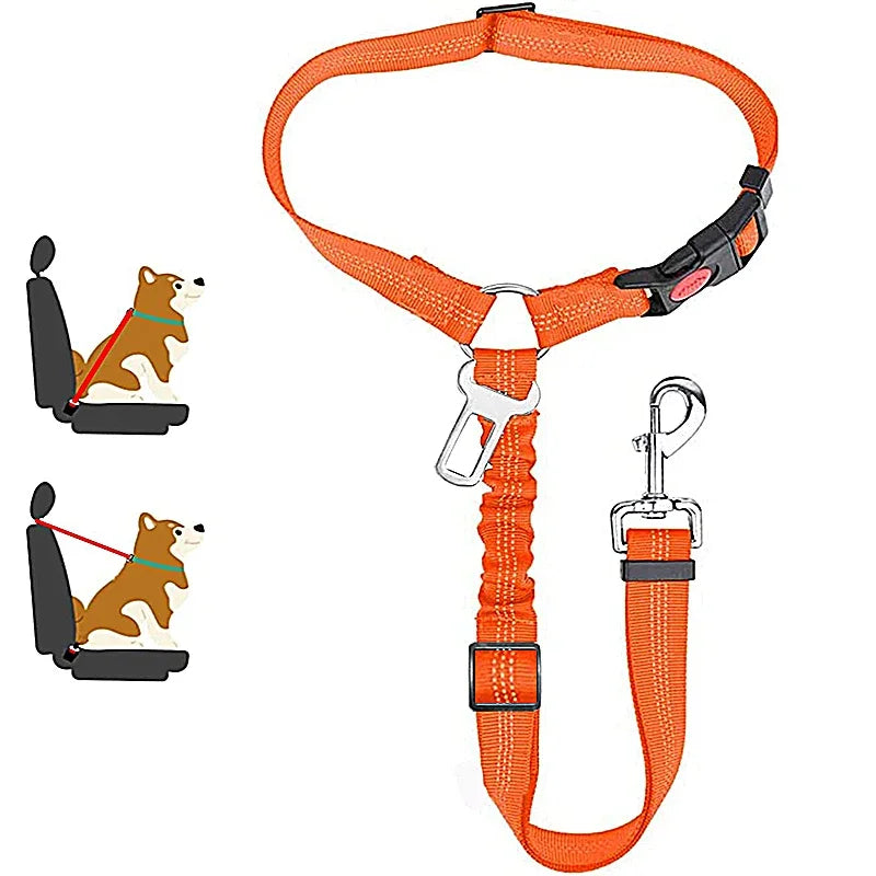 1-in-2 safety strap leash