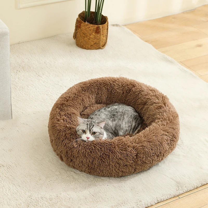 cloud bed