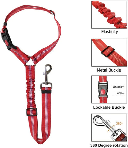 1-in-2 safety strap leash