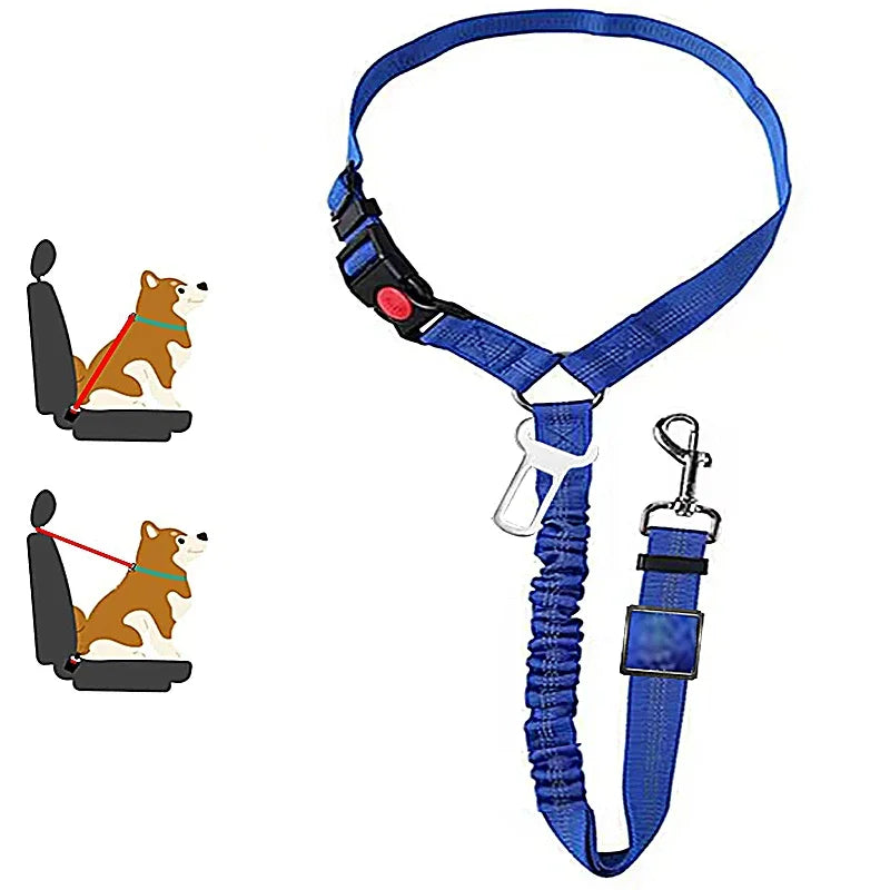 1-in-2 safety strap leash