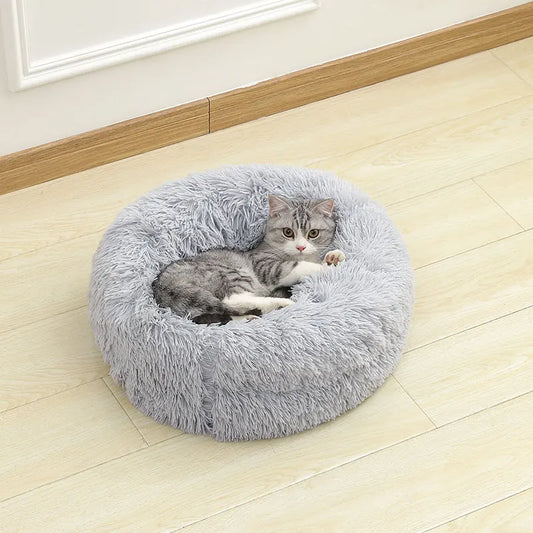 cloud bed