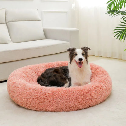 cloud bed