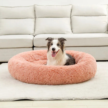 cloud bed