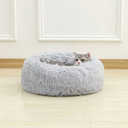 cloud bed