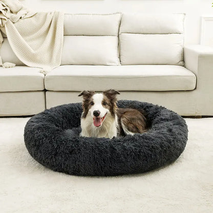cloud bed