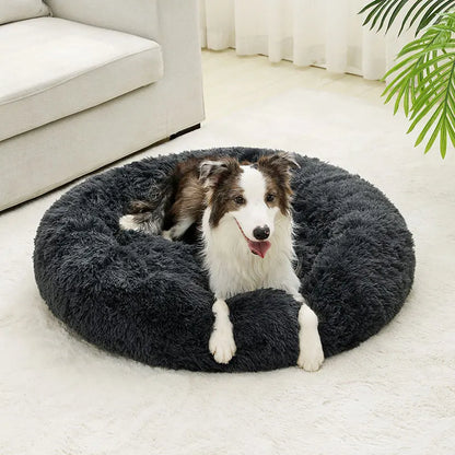 cloud bed