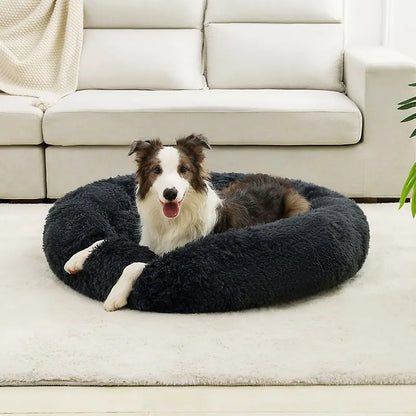 cloud bed