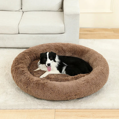 cloud bed