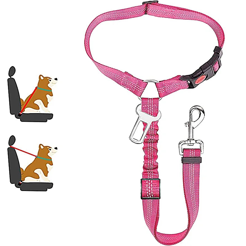 1-in-2 safety strap leash