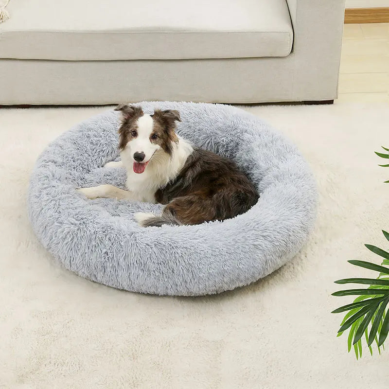 cloud bed