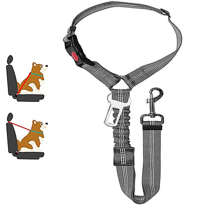 1-in-2 safety strap leash