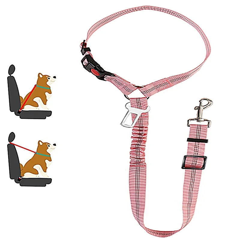 1-in-2 safety strap leash