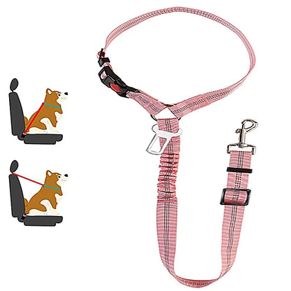 1-in-2 safety strap leash