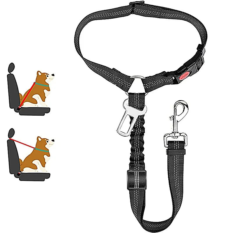 1-in-2 safety strap leash
