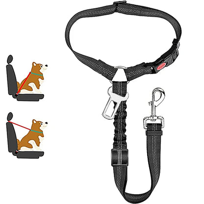 1-in-2 safety strap leash