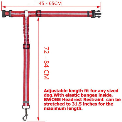 1-in-2 safety strap leash