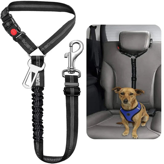 1-in-2 safety strap leash