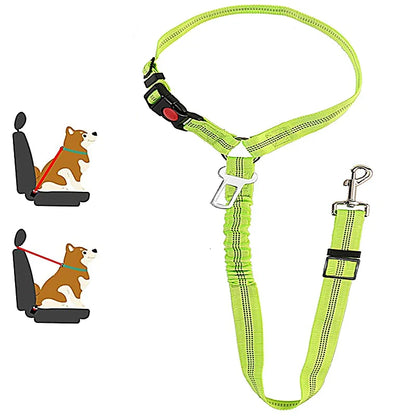 1-in-2 safety strap leash