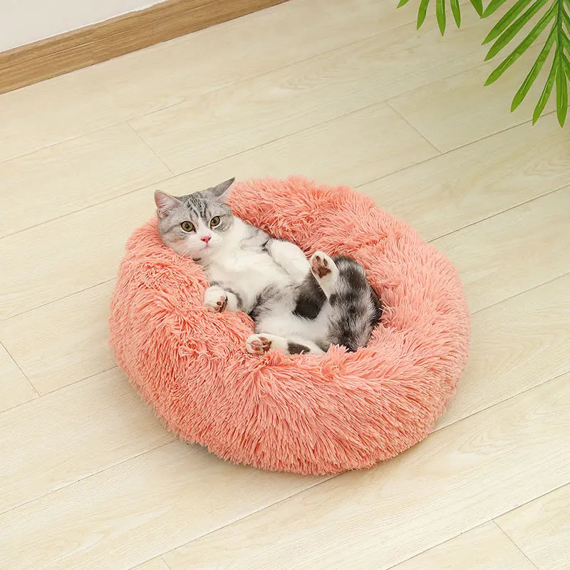 cloud bed