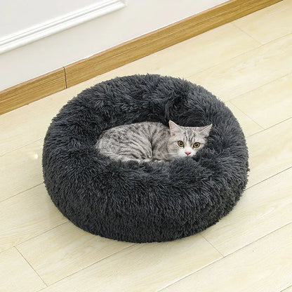 cloud bed